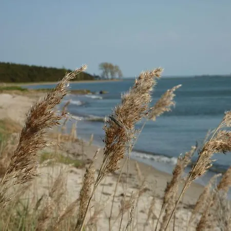 Baltic Sea Dream Apartment Zudar